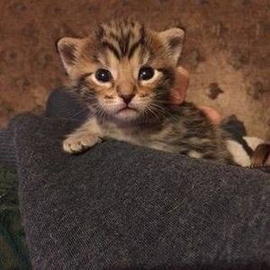 Meet your Posher, Deborah